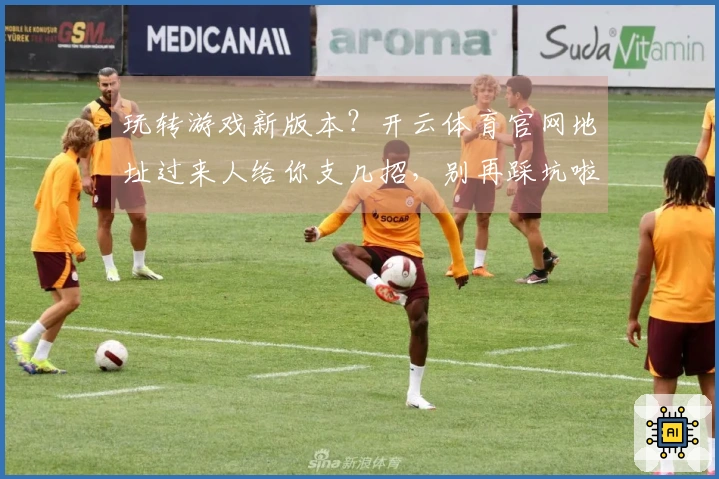 玩转游戏新版本？开云体育官网地址过来人给你支几招，别再踩坑啦！