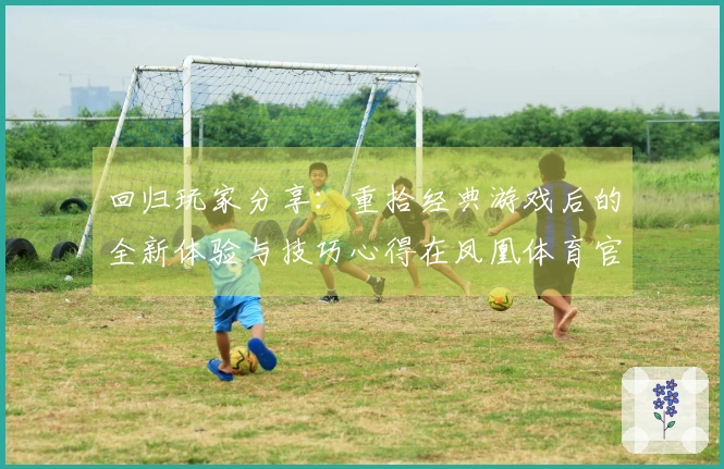 回归玩家分享：重拾经典游戏后的全新体验与技巧心得在凤凰体育官方网站