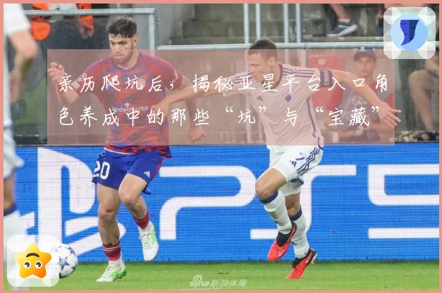 亲历爬坑后，揭秘亚星平台入口角色养成中的那些“坑”与“宝藏”