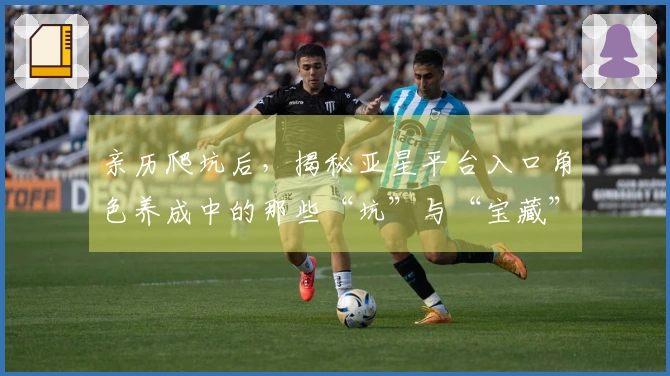 亲历爬坑后，揭秘亚星平台入口角色养成中的那些“坑”与“宝藏”